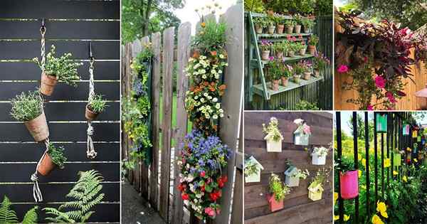 48 planteurs de clôture qui vous feront aimer votre clôture de confidentialité