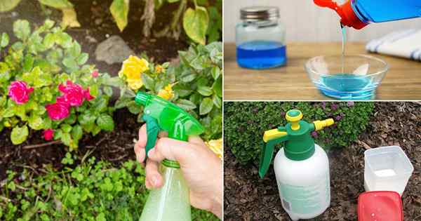 7 recettes de savon insecticide bricolage pour le jardin pour tuer les ravageurs