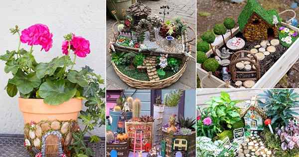 70 Idées de jardin de fées miniatures bricolage