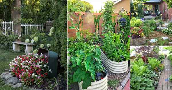 70 Les plus belles idées de jardin d'arrière-cour | Designs de jardin arrière