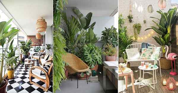 Buat oasis taman tropis di balkon dengan ide -ide ini