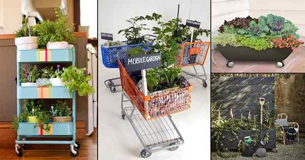 Jardins qui bougent | 22 idées de jardin mobile bricolage qui sont totalement ingénieuses