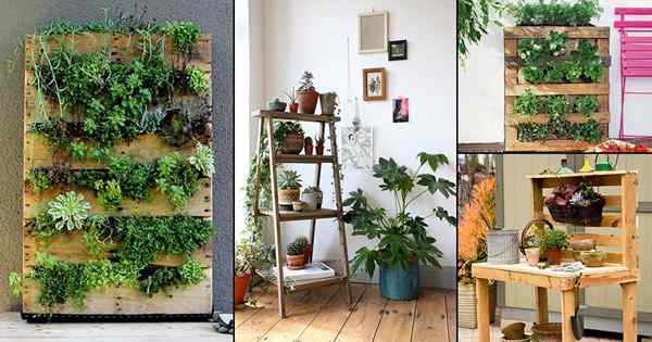 Wachsen Sie mehr Pflanzen im Innenräumen | 20 Best DIY vertikale Palettengarten Ideen
