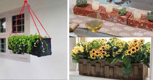 14 jardinières intérieurs rectangulaires bricolages que vous pouvez essayer