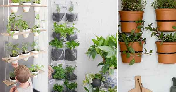 15 DIY wiszące ogrody Herb Gardens | Samouczek krok po kroku