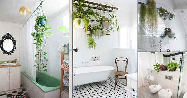 18 hermosas ideas de plantador de baño de bricolaje