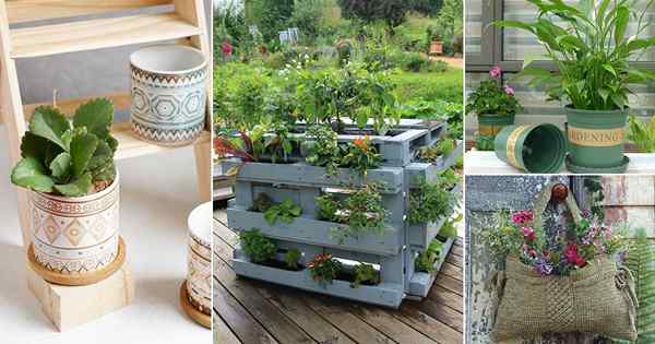 18 meilleurs endroits pour trouver des conteneurs de jardinage gratuits