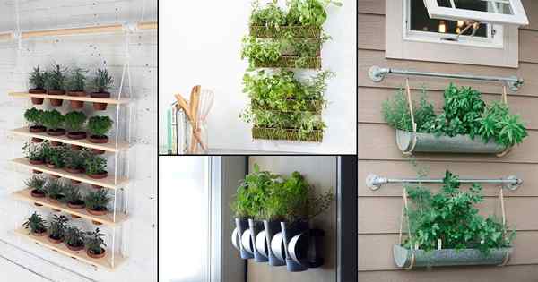 18 idea dinding herba diy yang mengagumkan