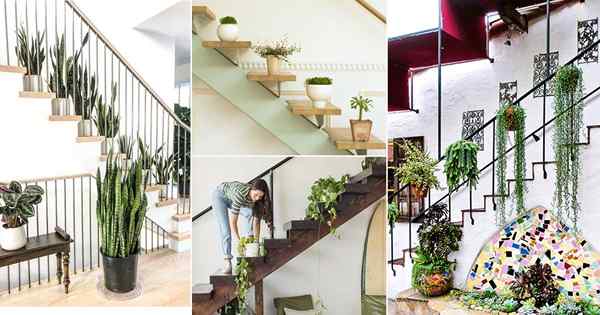 20 Ideas de jardín interior en las escaleras