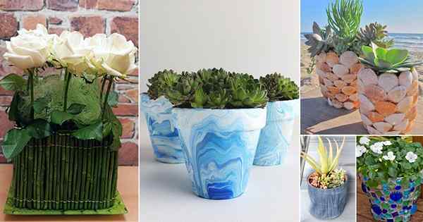 21 Ide dekorasi pot taman dari hal -hal sederhana di rumah (pot bunga DIY)
