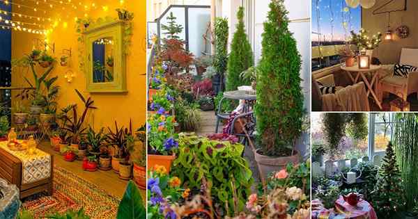 22 meilleures photos de jardin de balcon de novembre 2021 sur Instagram