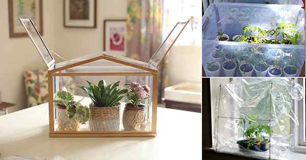 24 DIY Mini Indoor -Gewächshaus -Ideen für Winter und Frühjahr