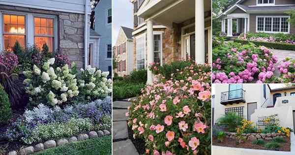 24 atemberaubende Blumenbeet -Ideen für das Vordergrund des Hauses