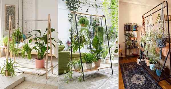 25 supports de manteaux et de tissus transformés en idées de jardin de plantes brillantes