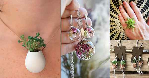 25 bijoux de bricolage avec des idées de plantes que vous devez essayer!