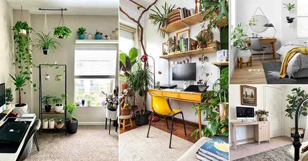26 meilleures idées de bureau de chambre avec des plantes d'Instagram