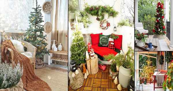 28 Idées de décorations de Noël au balcon avec plantes