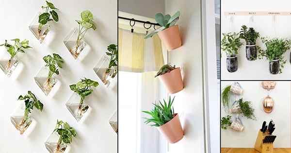 28 DIY Command Hakenideen für den Garten