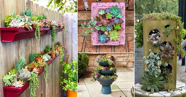 29 Beste DIY vertikale Sukkulentengarten Ideen