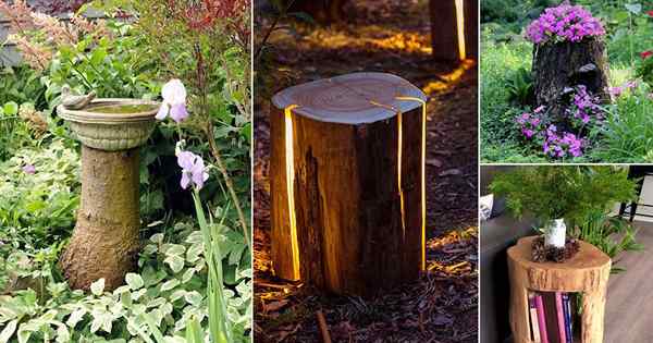 30 erstaunliche Baumstumpfideen für den Garten