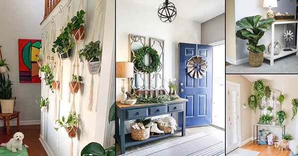 30 ide dekorasi foyer terbaik dengan tanaman