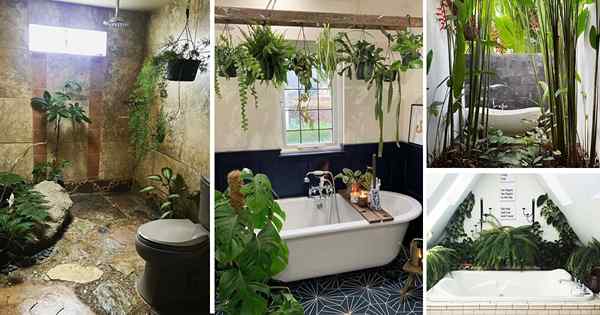 30 ideas de baño de la jungla | Mejores baños tropicales