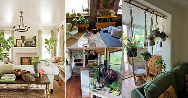 30 sala de estar pequeña con ideas de plantas