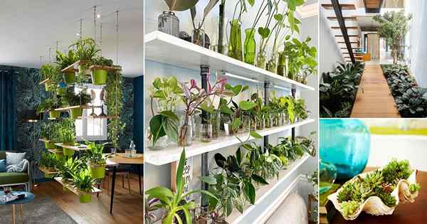 31 meilleures idées de décoration de jardin intérieure bricolage