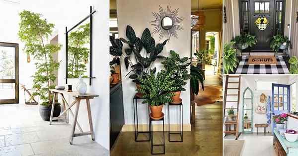 32 Ide dekorasi pintu masuk yang indah dengan tanaman