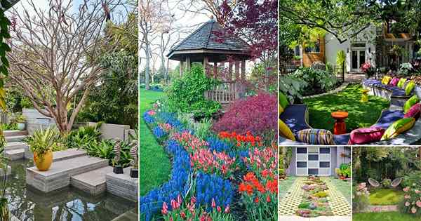 35 Idées fantastiques de jardin d'arrière-cour pour 2023