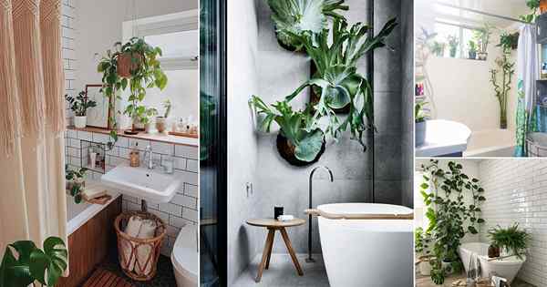 36 photos impressionnantes de salle de bain avec des plantes pour l'inspiration