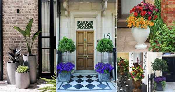 38 ideas hermosas de contenedores de puerta de entrada