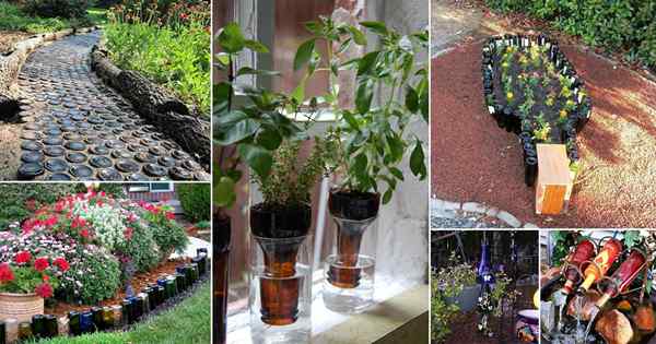 38 idéias de garrafas de vinho DIY para o jardim | Usos da garrafa de vinho