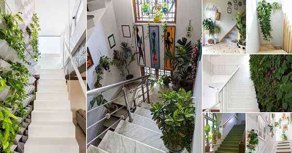 41 Superbe jardin sur les idées de mur d'escalier