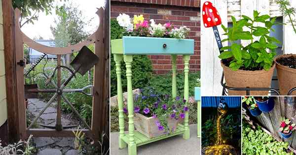 78 Unglaubliche DIY -Upcycled -Gartenprojekte