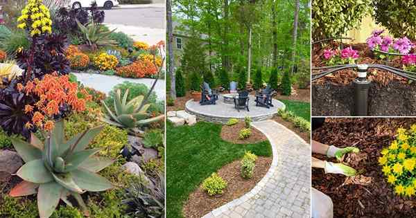 8 conseils faciles d'aménagement paysager pour un jardin à faible entretien