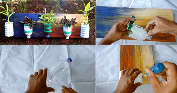 Taman vertikal botol plastik DIY