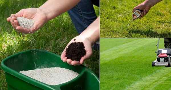 ¿Con qué frecuencia puedo aplicar el azufre a mi césped? Aplicación de azufre en jardín