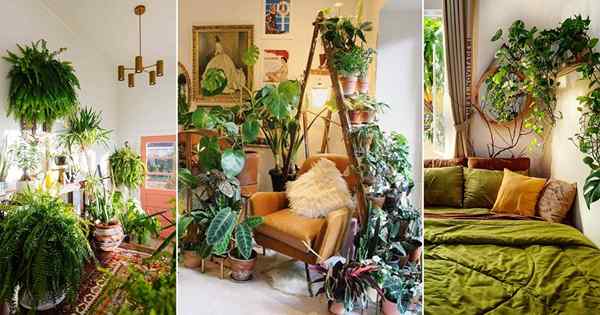 Transforme sua casa em mini floresta com essas idéias