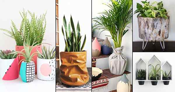 112 Ide Planter DIY yang Menyenangkan untuk Inspirasi