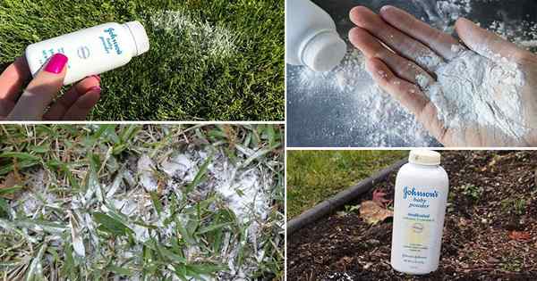 13 Effektive Babypuder -Verwendungen und Hacks im Garten