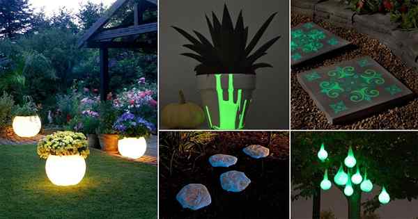 16 Ideas mágicas de brillo de bricolaje en la oscura para el jardín