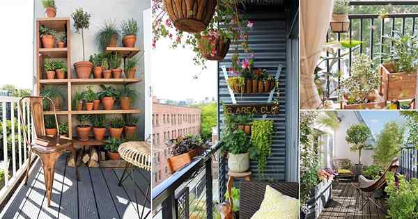 17 meilleures idées de jardin de petit balcon que vous devez copier