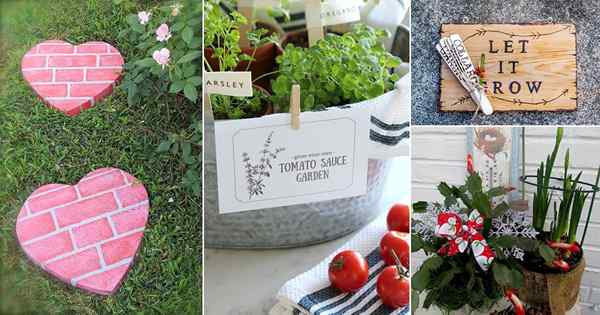 18 ideas de regalos de jardín de bricolaje pensativo | Los mejores regalos para jardineros