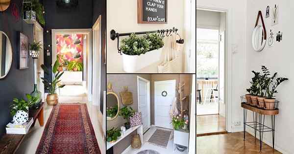 20 Flur Decor -Ideen mit Pflanzen