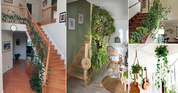 22 Ideas increíbles de interior en las escaleras