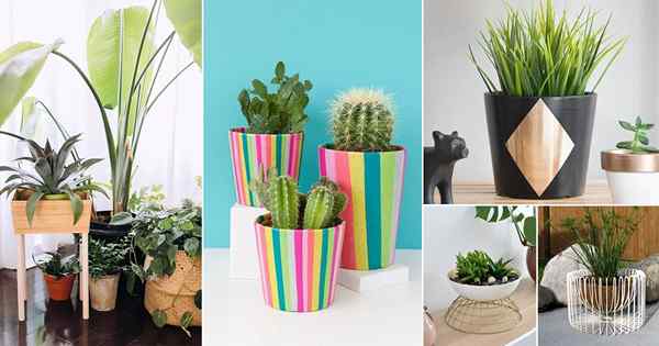 22 DIY IKEA POT Hacks, um Pflanzen stilvoll anzuzeigen