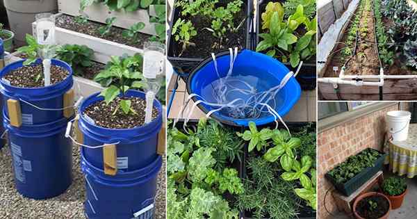 23 Bantuan Air Taman DIY | Sistem penyiraman yang dapat Anda buat untuk kebun