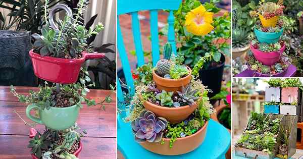 29 Idea Menara Succulent Super Cool