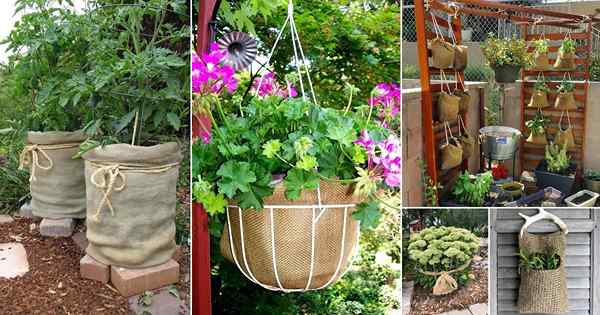 30 projets de toile de jute frais pour le jardin